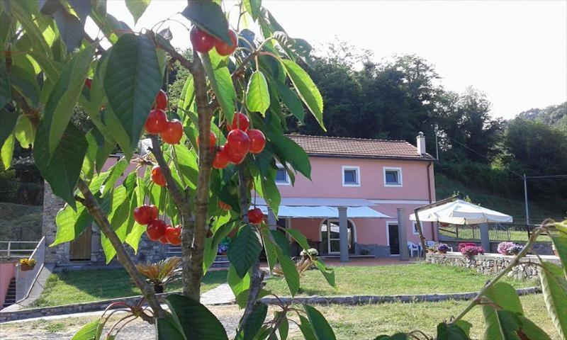 B&B La Casina Rosa La Spezia Valeriano Lunense Exteriör bild